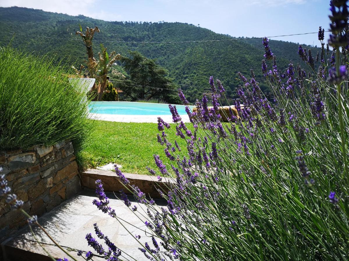 Agriturismo Ca Due Nonu Vallebona Buitenkant foto